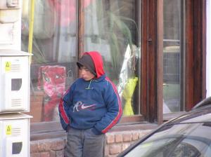 imagine-articol0_40800