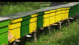 imagine-articol0_40802