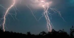 imagine-articol0_40811