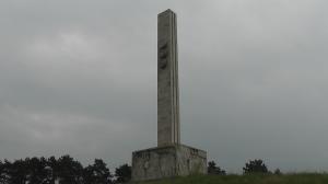 imagine-articol0_40824