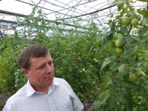 imagine-articol0_40844