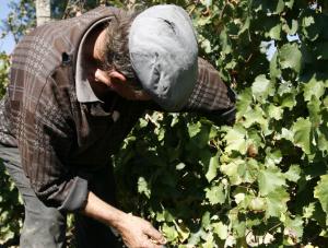 imagine-articol0_40845