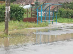 imagine-articol0_40864