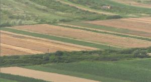 imagine-articol0_40865