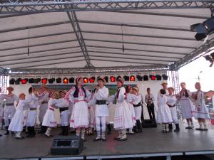 imagine-articol0_40866