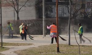 imagine-articol0_40892