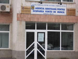 imagine-articol0_40958