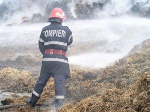 imagine-articol0_40992