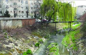 imagine-articol0_41022