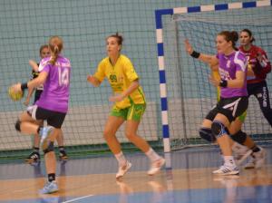 imagine-articol0_41029