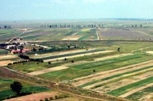 imagine-articol0_41057