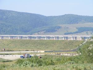 imagine-articol0_41084