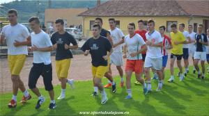 imagine-articol0_41092