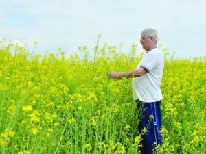 imagine-articol0_41180