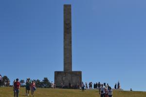 imagine-articol0_41182