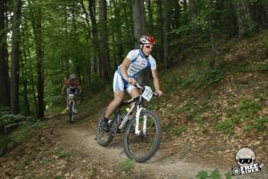 imagine-articol0_41206