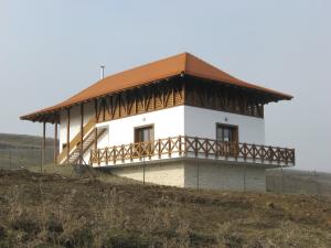 imagine-articol0_41209