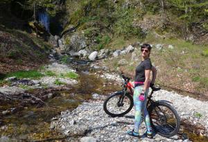 imagine-articol0_41211