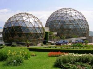 imagine-articol0_41220