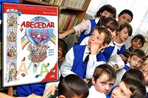 imagine-articol0_41263