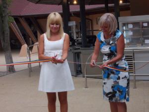 imagine-articol0_41280