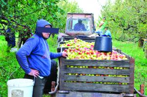 imagine-articol0_41299