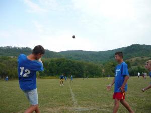 imagine-articol0_41315