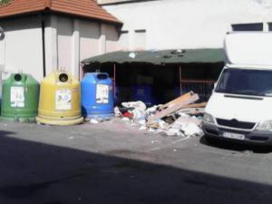 imagine-articol0_41316