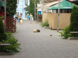 imagine-articol0_41336