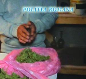 imagine-articol0_41371