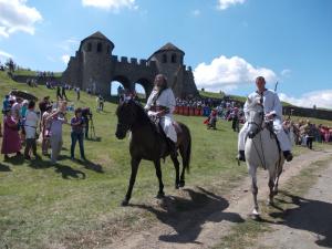 imagine-articol0_41372