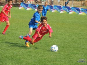 imagine-articol0_41385