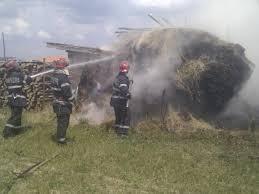 imagine-articol0_41404