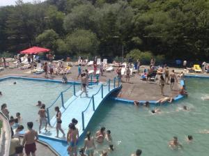 imagine-articol0_41421