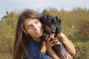 imagine-articol0_41441