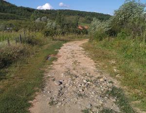 imagine-articol0_41445