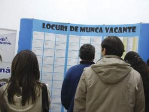 imagine-articol0_41446