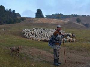 imagine-articol0_41503