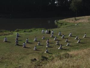 imagine-articol0_41512