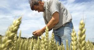 imagine-articol0_41521