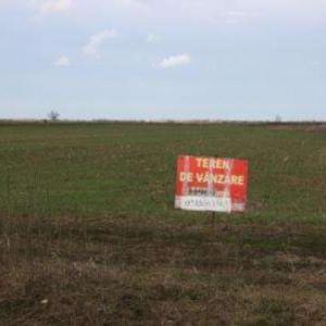 imagine-articol0_41522