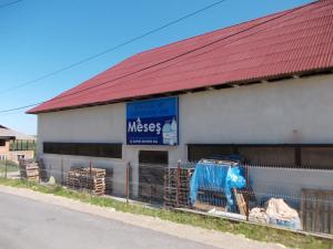 imagine-articol0_41523