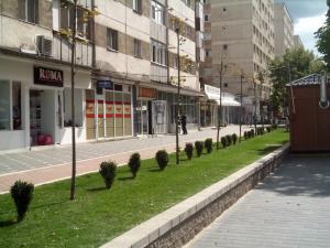 imagine-articol0_41538