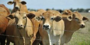 imagine-articol0_41565