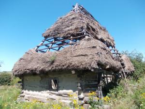 imagine-articol0_41605