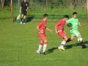 imagine-articol0_41612