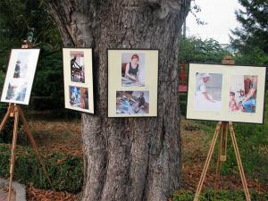 imagine-articol0_41627