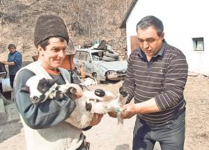 imagine-articol0_41646