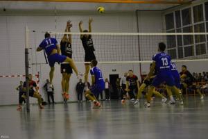 imagine-articol0_41740