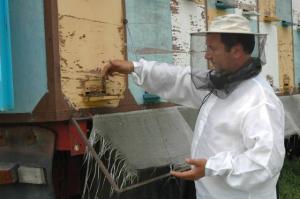 imagine-articol0_41751